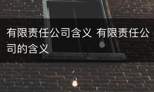 有限责任公司含义 有限责任公司的含义
