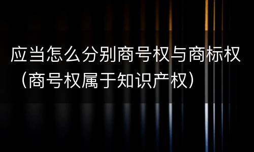应当怎么分别商号权与商标权（商号权属于知识产权）