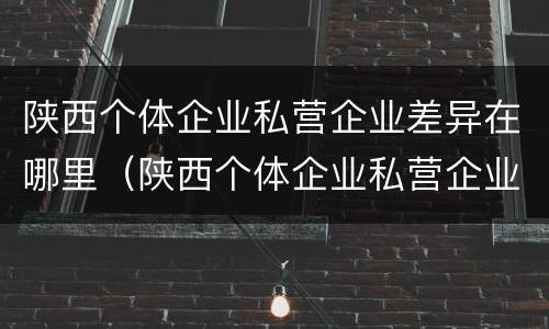 陕西个体企业私营企业差异在哪里（陕西个体企业私营企业差异在哪里公示）