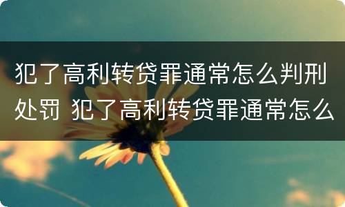 犯了高利转贷罪通常怎么判刑处罚 犯了高利转贷罪通常怎么判刑处罚多少钱