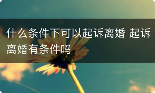 什么条件下可以起诉离婚 起诉离婚有条件吗