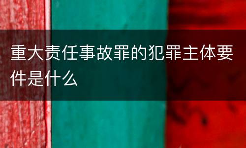 重大责任事故罪的犯罪主体要件是什么