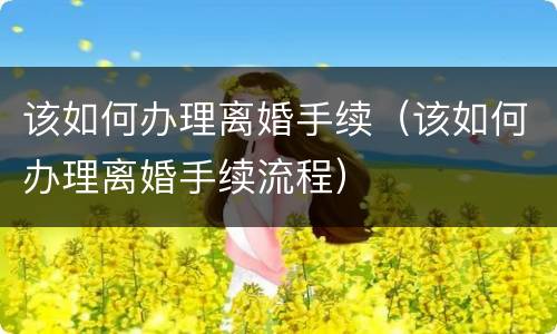 该如何办理离婚手续（该如何办理离婚手续流程）