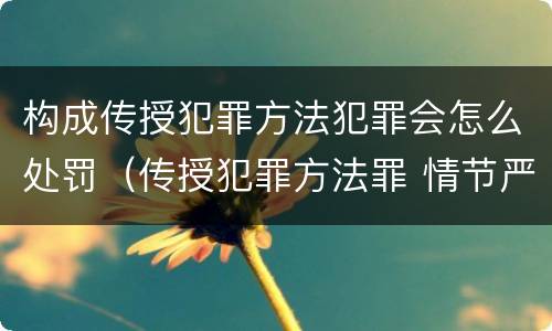 构成传授犯罪方法犯罪会怎么处罚（传授犯罪方法罪 情节严重）