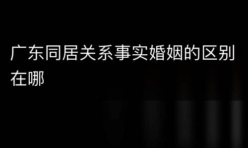 广东同居关系事实婚姻的区别在哪