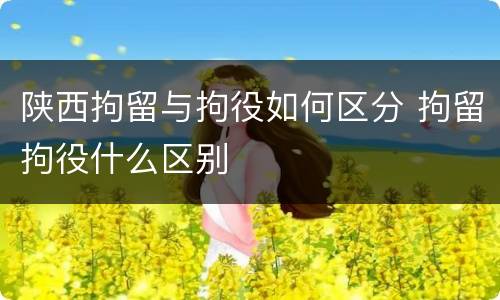 陕西拘留与拘役如何区分 拘留拘役什么区别