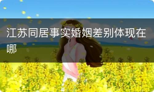 江苏同居事实婚姻差别体现在哪