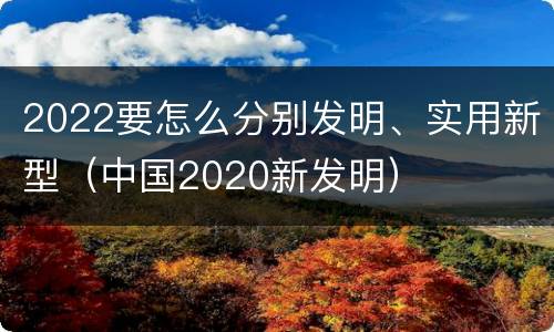2022要怎么分别发明、实用新型（中国2020新发明）