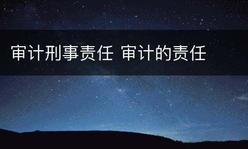审计刑事责任 审计的责任