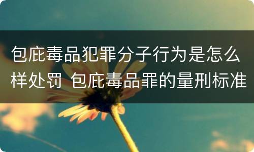 包庇毒品犯罪分子行为是怎么样处罚 包庇毒品罪的量刑标准