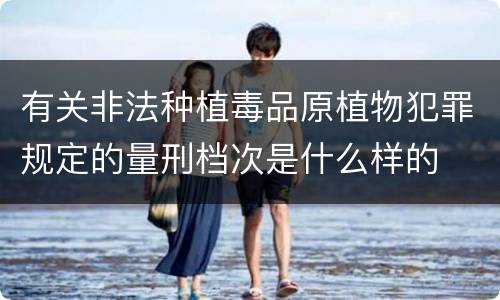 有关非法种植毒品原植物犯罪规定的量刑档次是什么样的