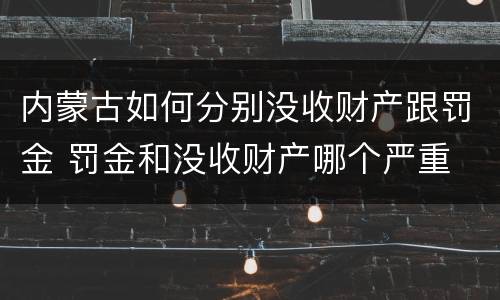 内蒙古如何分别没收财产跟罚金 罚金和没收财产哪个严重
