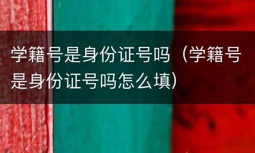 学籍号是身份证号吗（学籍号是身份证号吗怎么填）