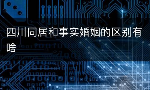 四川同居和事实婚姻的区别有啥