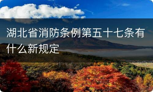 湖北省消防条例第五十七条有什么新规定