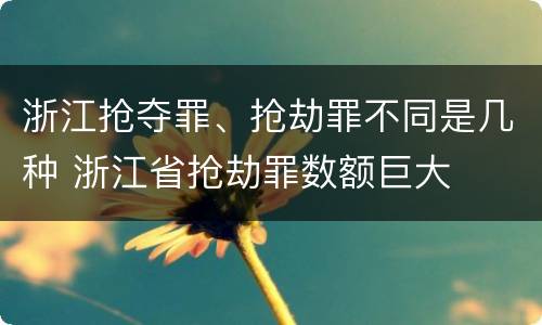 浙江抢夺罪、抢劫罪不同是几种 浙江省抢劫罪数额巨大