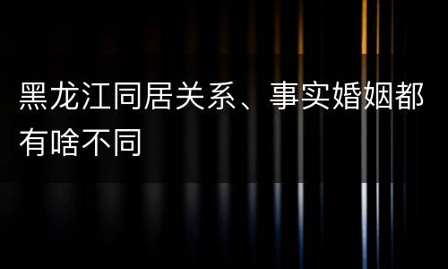黑龙江同居关系、事实婚姻都有啥不同