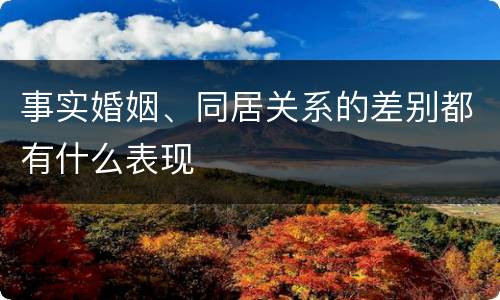 事实婚姻、同居关系的差别都有什么表现