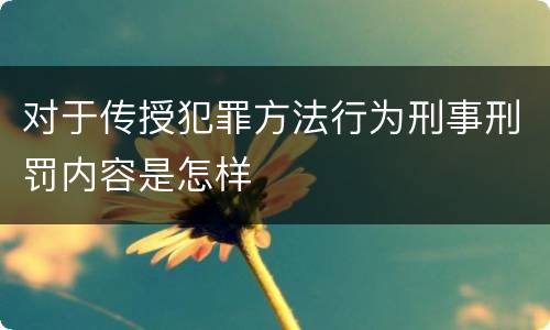 对于传授犯罪方法行为刑事刑罚内容是怎样