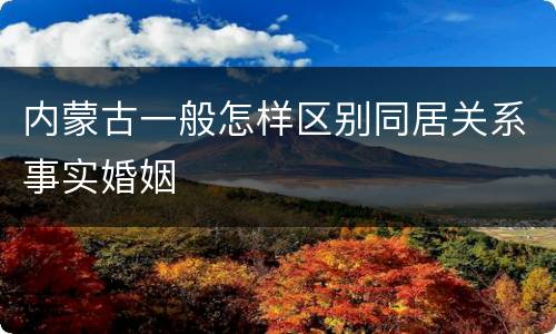 内蒙古一般怎样区别同居关系事实婚姻