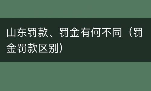 山东罚款、罚金有何不同（罚金罚款区别）