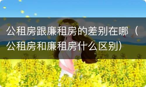 公租房跟廉租房的差别在哪（公租房和廉租房什么区别）