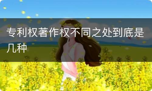 专利权著作权不同之处到底是几种