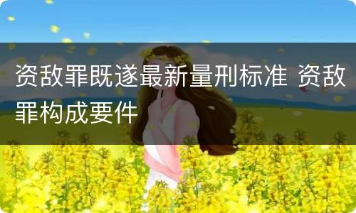 资敌罪既遂最新量刑标准 资敌罪构成要件
