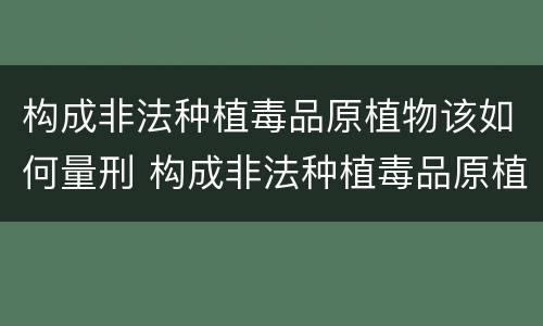 构成非法种植毒品原植物该如何量刑 构成非法种植毒品原植物该如何量刑呢