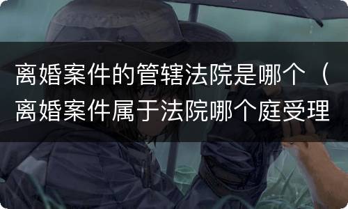 离婚案件的管辖法院是哪个（离婚案件属于法院哪个庭受理）