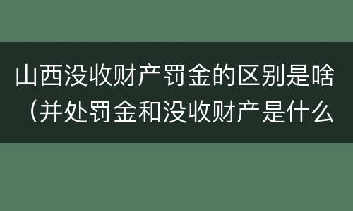 山西没收财产罚金的区别是啥（并处罚金和没收财产是什么意思）