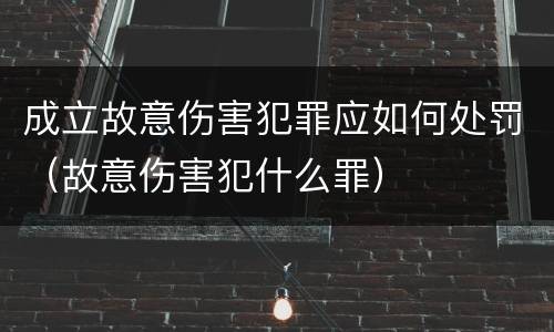 成立故意伤害犯罪应如何处罚（故意伤害犯什么罪）