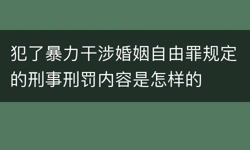 犯了暴力干涉婚姻自由罪规定的刑事刑罚内容是怎样的