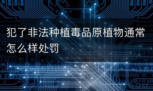 犯了非法种植毒品原植物通常怎么样处罚