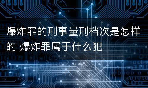 爆炸罪的刑事量刑档次是怎样的 爆炸罪属于什么犯