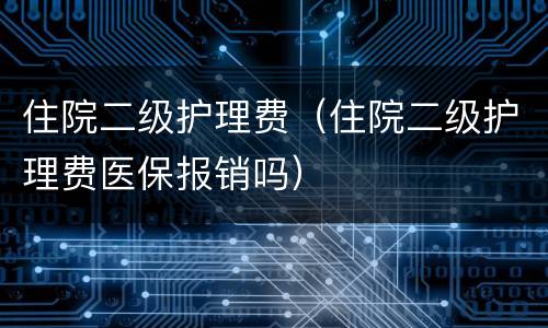 住院二级护理费（住院二级护理费医保报销吗）