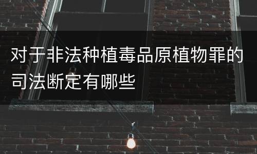 对于非法种植毒品原植物罪的司法断定有哪些
