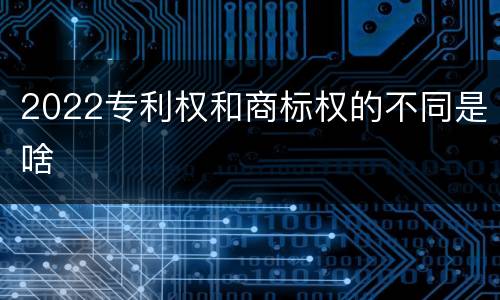 2022专利权和商标权的不同是啥