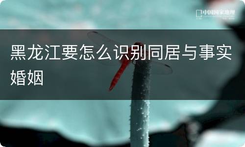 黑龙江要怎么识别同居与事实婚姻