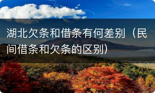 湖北欠条和借条有何差别（民间借条和欠条的区别）
