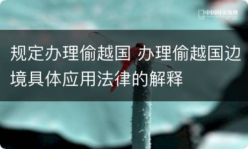 规定办理偷越国 办理偷越国边境具体应用法律的解释