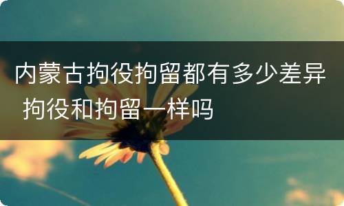 内蒙古拘役拘留都有多少差异 拘役和拘留一样吗
