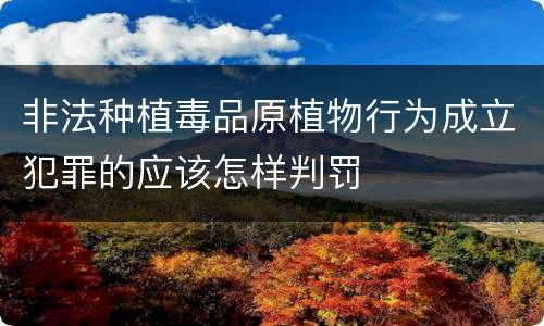 非法种植毒品原植物行为成立犯罪的应该怎样判罚