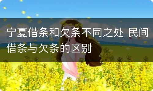 宁夏借条和欠条不同之处 民间借条与欠条的区别