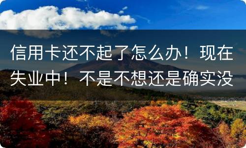 信用卡还不起了怎么办！现在失业中！不是不想还是确实没有钱还！会坐牢吗
