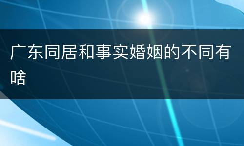 广东同居和事实婚姻的不同有啥