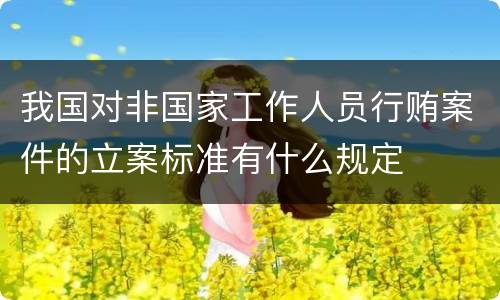 我国对非国家工作人员行贿案件的立案标准有什么规定