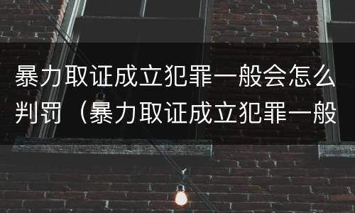 暴力取证成立犯罪一般会怎么判罚（暴力取证成立犯罪一般会怎么判罚呢）