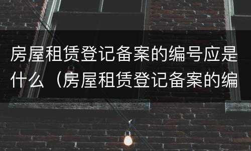 房屋租赁登记备案的编号应是什么（房屋租赁登记备案的编号应是什么号码）