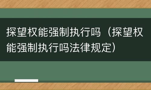 探望权能强制执行吗（探望权能强制执行吗法律规定）
